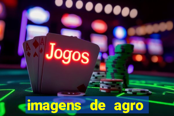 imagens de agro racoes guarani